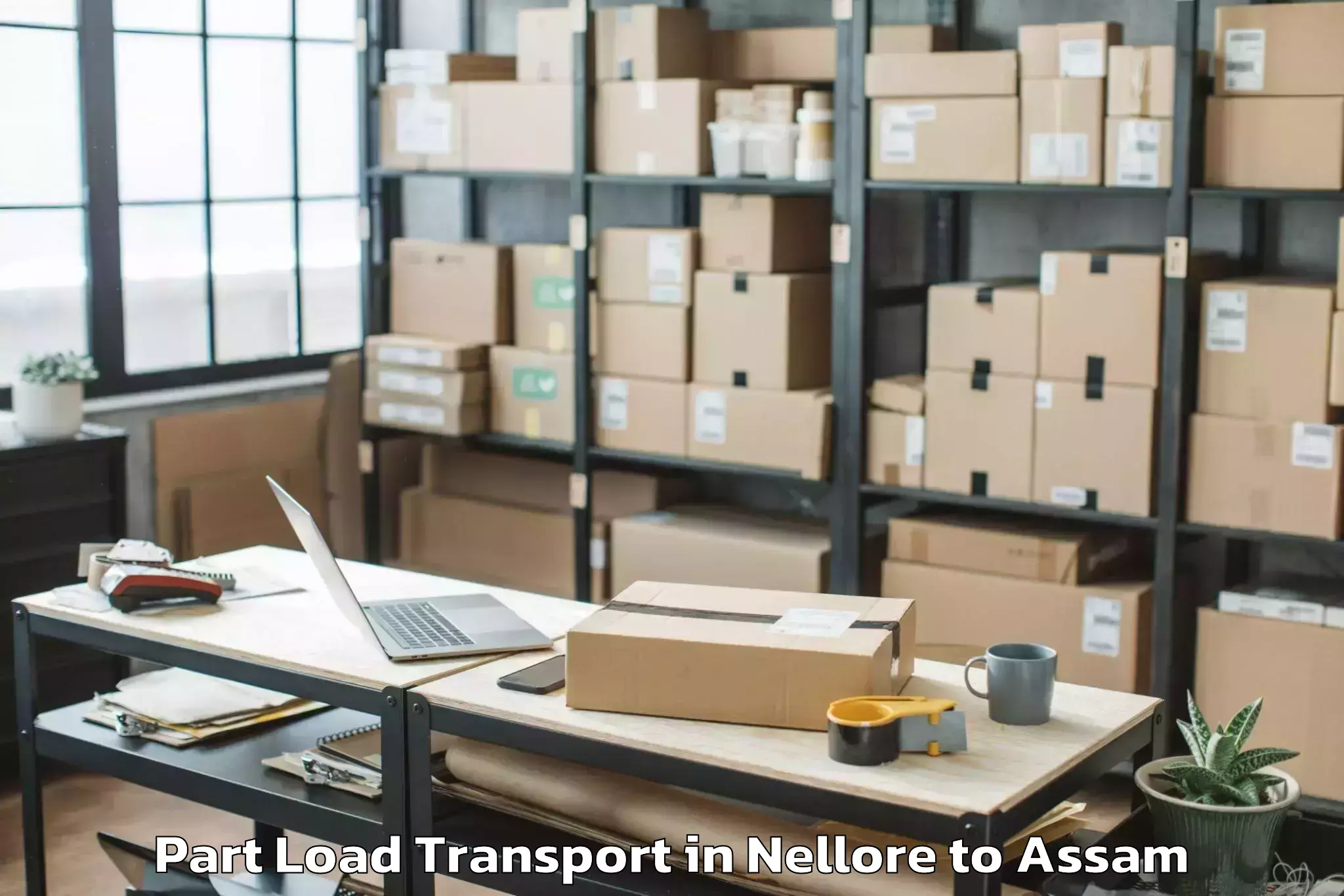 Book Nellore to Lumding Part Load Transport Online